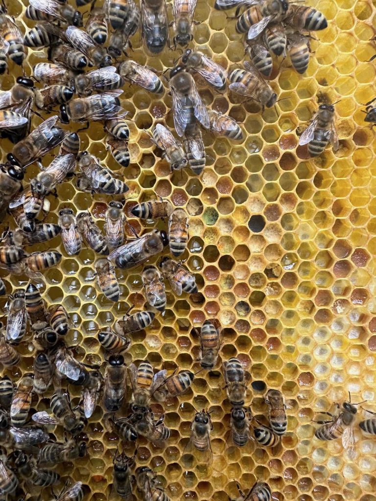 93349d6e-87dc-416f-9c84-d7089f956560